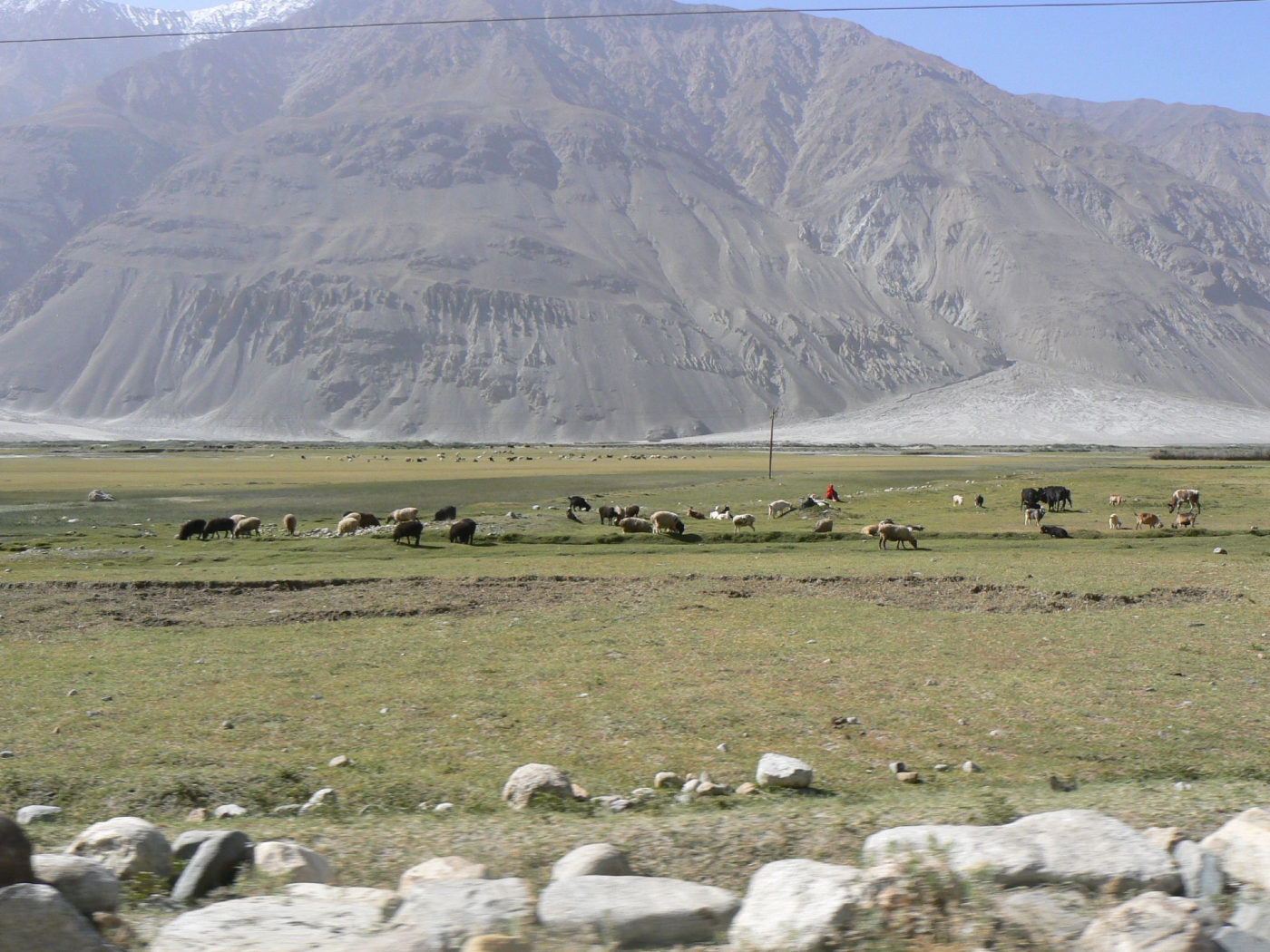 Weite Hochtalebene im Wakhan-Korridor mit weidenden Tieren
